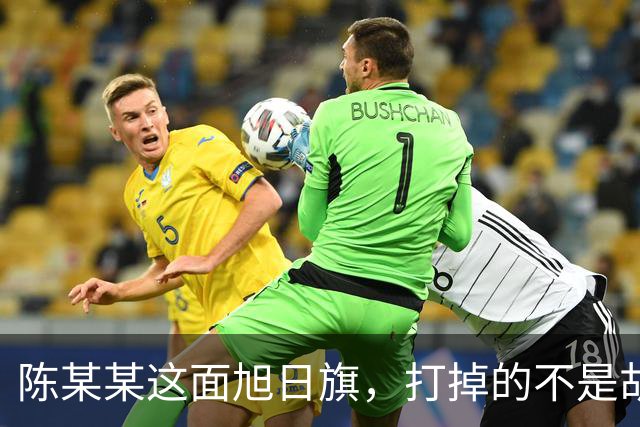 陈某某这面旭日旗，打掉的不是胡锡进的面子，是一层中邪论的滤镜